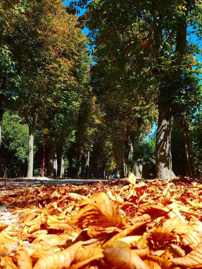 Il Gabbiano Giallo Fano Dış mekan fotoğraf